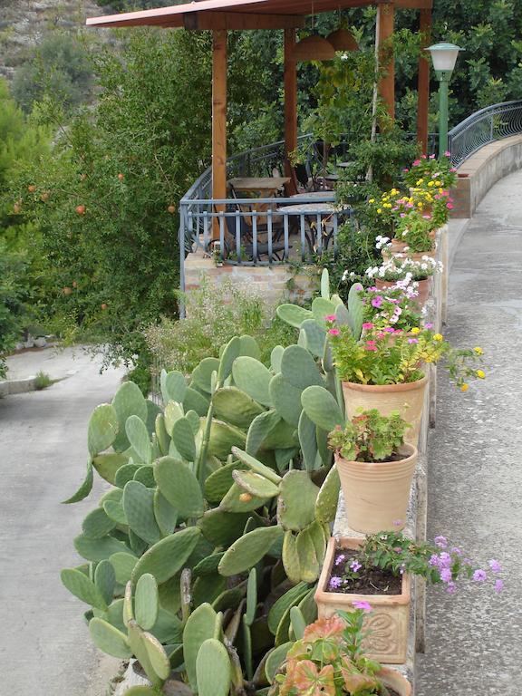 노토 La Suma Sumalia B&B 외부 사진
