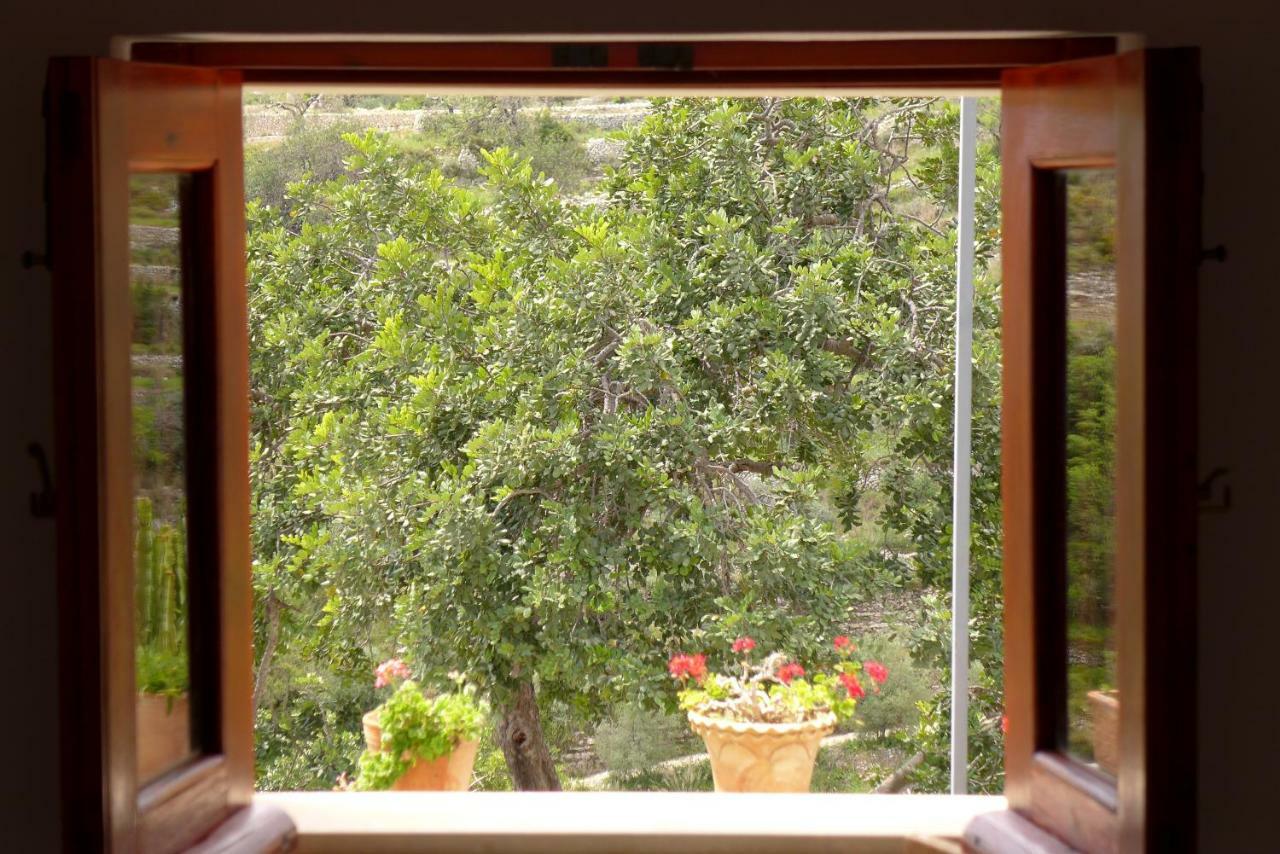 노토 La Suma Sumalia B&B 외부 사진